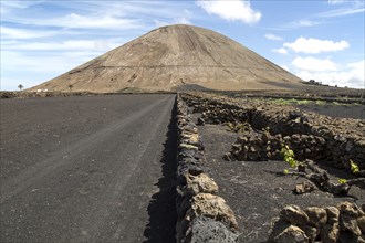 Volcano cone and black volcanic soil farmland, near Tinajo, Lanzarote, Canary Islands, Spain,