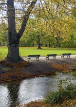 Autumn atmosphere, English Garden, Munich, Bavaria, Germany, Europe