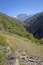 Landscape of the River Rio Poqueira gorge valley, High Alpujarras, Sierra Nevada, Granada Province,