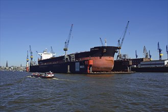 Europe, Germany, Hamburg, Elbe, harbour, floating dock, bulk carrier Cap Maria, 87440 Brt, in