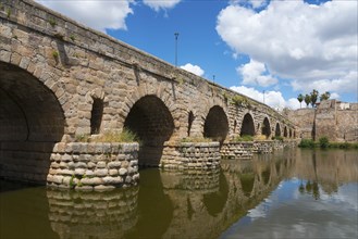 Stone bridge over a river, surrounded by a city wall and palm trees, under a blue sky, Roman