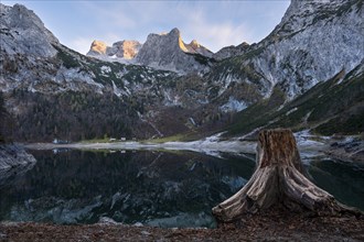 The Hintere Gosausee lake in autumn with a view of the Dachstein mountain range. A tree stump in