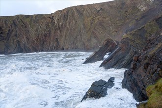 Complex folding of sedimentary rock strata in coastal cliffs at Hartland Quay, north Devon,