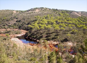 Blood red mineral laden water Rio Tinto river Minas de Riotinto mining area, Huelva province,