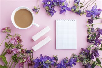 Pink and purple columbine flowers and a cup of coffee with notebook on pastel pink background.