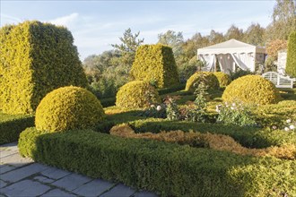 Cottage garden with topiary, hedges, trimmed bushes. Modern landscape design