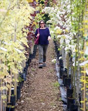 Model released woman walking past rows of colourful trees in blossom at a garden centre, UK