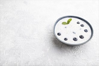 Yogurt with blueberry in ceramic bowl on gray concrete background. Side view, copy space, close up