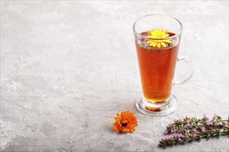 Glass of herbal tea with calendula and hyssop on a gray concrete background. Morninig, spring,