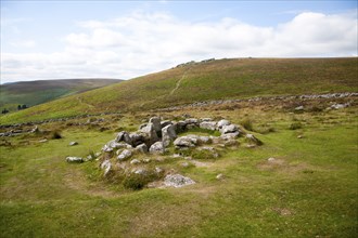 Stone hut circle in late Bronze age enclosed settlement site of Grimspound, Dartmoor national park,