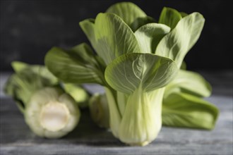 Fresh green bok choy or pac choi chinese cabbage on a gray wooden background. Hard light, contrast,