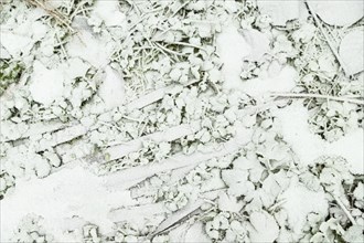 Leaves and grass covered with hoarfrost. Abstract floral background, garden and winter concept.