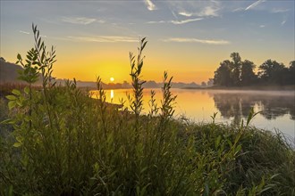 Foggy mood, sunrise on the Elbe, biotope, habitat, Elbe meadows, floodplain landscape, river