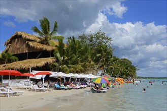 People enjoying the sun on a tropical beach with palm trees and parasols, Boca Chica, Santo Domingo