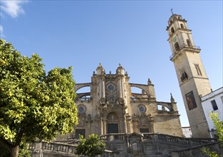 Cathedral church in Jerez de la Frontera, Cadiz province, Spain, Europe