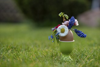 A colourful flower arrangement in an eggshell, nestled in a green lawn, Germany, Europe