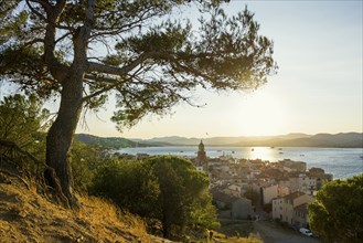 Panorama, Sunset, St. Tropez, Département Var, Cote d'Azur, Provence-Alpes-Côte d'Azur, South of