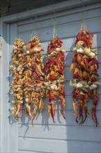 Threaded dried chilli peppers, garlic, bay leaves, market sale, Croatia, Europe