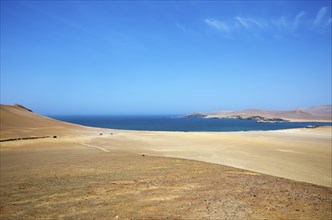 Reserva Nacional de Paracas, behind the bay of Paracas, Ica region, Pisco province, Peru, South