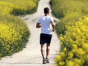 A jogger runs past rape fields in bloom, Teltow, 13/05/2023