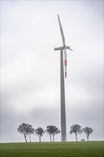 Wind farm, wind turbines near Erkelenz, Rhenish lignite mining area, in the fog, calm, no wind,