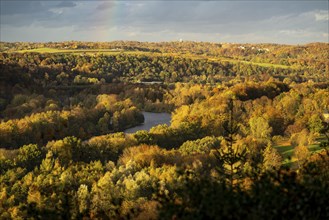 Autumnal forest along the Ruhr valley between Essen-Kettwig and Essen-Werden, seen from Öfter Wald,