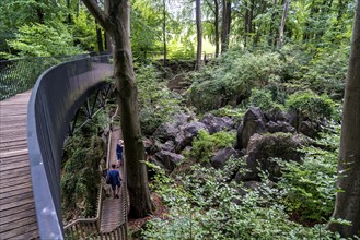 The Felsenmeer in Hemer, Sauerland, geotope, with rugged rock formations, nature reserve, North