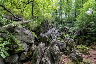 The Felsenmeer in Hemer, Sauerland, geotope, with rugged rock formations, nature reserve, North