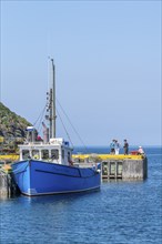 Blue fishing boat and tourists in the harbour of the fishing village Lark Harbour, Bay of Islands,