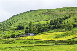 Farms in Yorkshire Dales National Park, North Yorkshire, England, United Kingdom, Europe