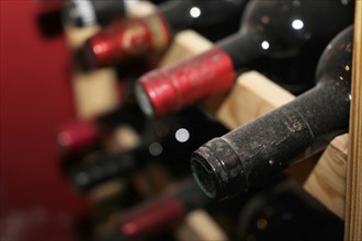 Wine cellar with red wine bottles