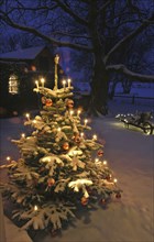 Europe, Germany, Christmas tree with candles and baubles in a snowy front garden, Hamburg, Hamburg,