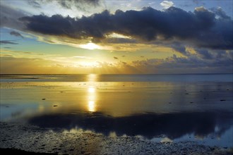 Sunrise by the sea, Texel, Netherlands, Texel, Netherlands