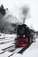 Brocken railway, Schierke, Saxony-Anhalt, Germany, Europe