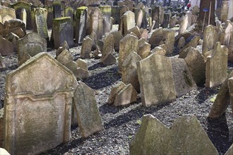 The Old Jewish Cemetery in the Josefov district is one of the most historically significant Jewish