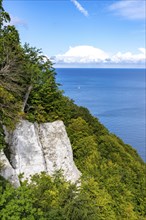 Chalk cliffs of Rügen, Königsstuhl rock formation, in the Jasmund National Park, view of the Baltic