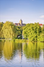 A castle on a hill, surrounding trees and a lake with clear reflections on a sunny day, Harz