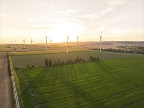 Wind turbines over extensive fields at sunset, Allstedt, Harz, Germany, Europe