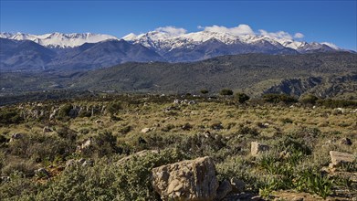 Landscape with snow-covered mountains and green grass under a clear blue sky with clouds, Lefka