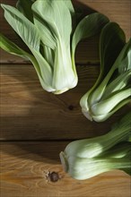 Fresh green bok choy or pac choi chinese cabbage on a brown wooden background. Hard light, contrast