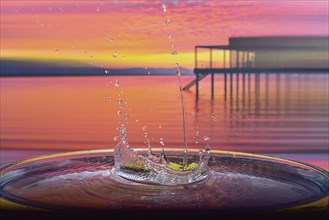 Splash of a drop falling into water, studio shot with Lake Constance motif as background, Bavaria,