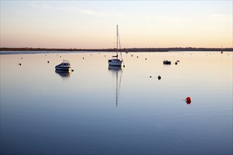 Boats at moorings at sunset on the River Deben, Ramsholt, Suffolk, England, United Kingdom, Europe