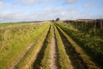 The Ridgeway long distance footpath dating from prehistory near its start on Overton Hill,