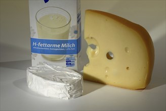 Europe, Switzerland, Swiss Emmental, hard cheese, nutrition, typical product of the country,