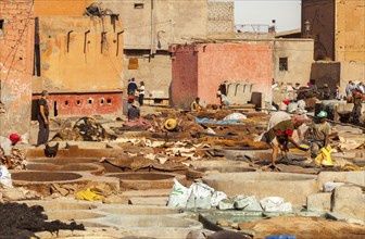 Traditional tannery with dyeing vats for animal skins, Marrakech, Morocco, Africa