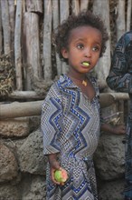 Amhara region, little girl eating fruit, Ethiopia, Africa