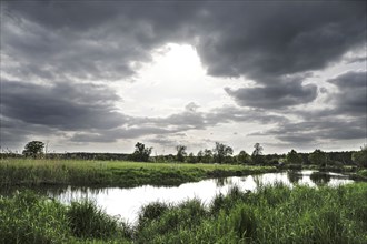 Unregulated natural course of the Spree, Mönchwinkel, 16 05 2023