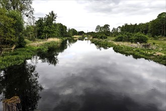 Unregulated natural course of the Spree, Mönchwinkel, 16 05 2023