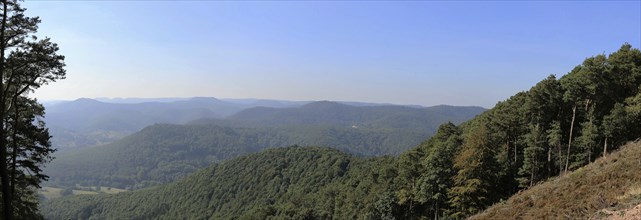 View of the Rhine plain from the summit plateau of the Orensberg (southern Wine Route)