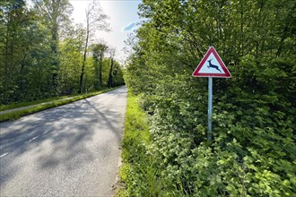 Traffic sign warning sign wildlife crossing stands next to straight narrow road through forest